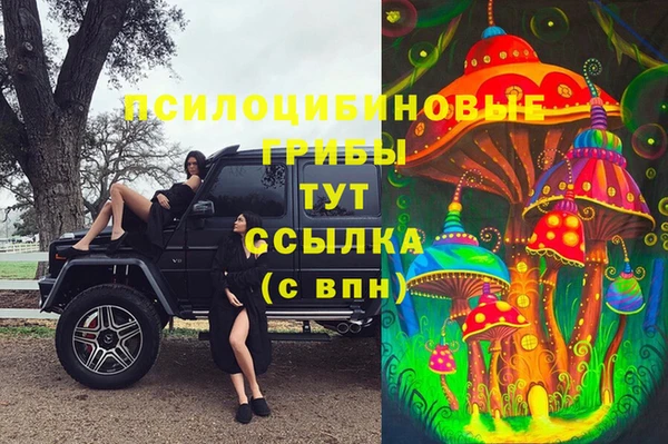 крисы Рославль