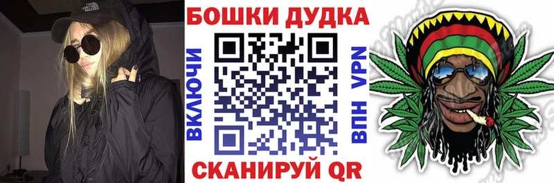 KRAKEN вход  Новосиль  Конопля сатива  что такое  